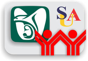 Exportación a SUA